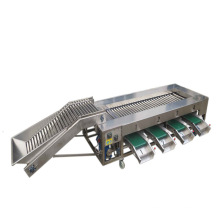 Stainless steel grading equipment fruit and vegetable sorting machine